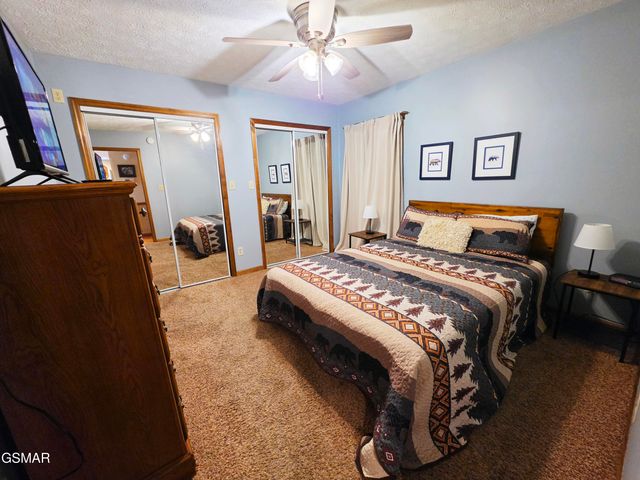 310 Greenwood Way, Pigeon Forge, TN 37863