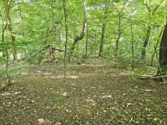 1445 Buchanon Dr, Clarksville, TN 37042