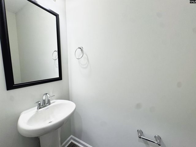 1530 Garrett Court, Chapin, SC 29036