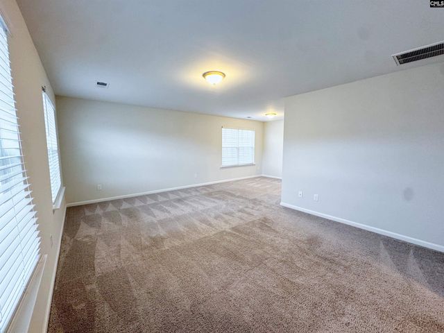 1530 Garrett Court, Chapin, SC 29036