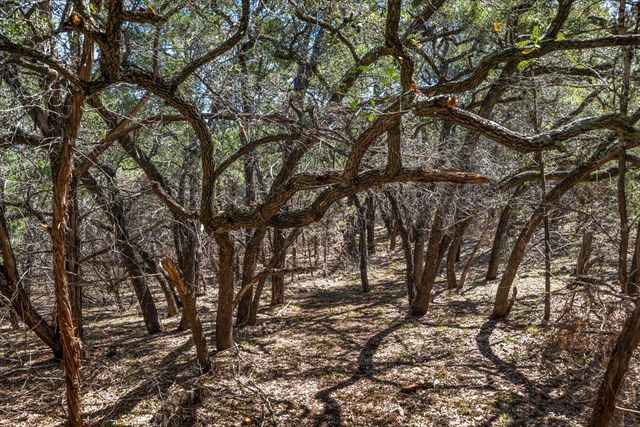 25723 Hamilton Pool RD, Round Mountain, TX 78654