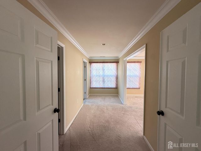 87 Timber Hill Drive, Franklin, NJ 08823