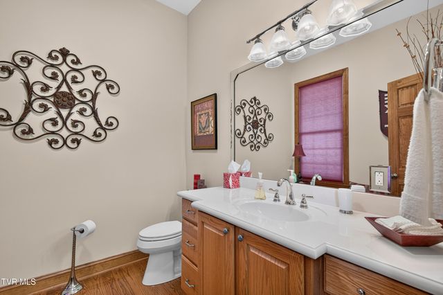 20443 Josh Allen Drive, Abingdon, VA 24211