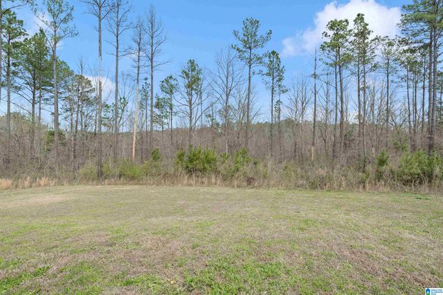 760 MAGNOLIA CREST COURT, Odenville, AL 35120