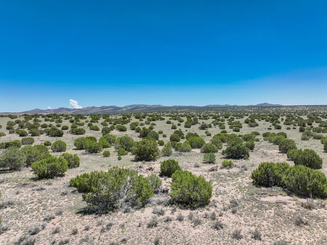 Lot 189 Pinon Springs Ranches, Magdalena, NM 87825