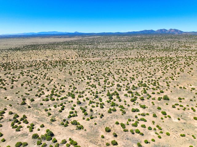 Lot 189 Pinon Springs Ranches, Magdalena, NM 87825