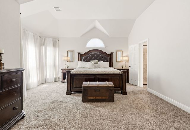 2451 Lusitano Lane, Celina, TX 75009