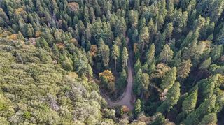 0 Deer Run Road, Cedarpines Park, CA 92322