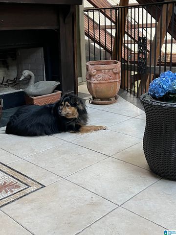 415 YELLOWSTONE DRIVE, Birmingham, AL 35206