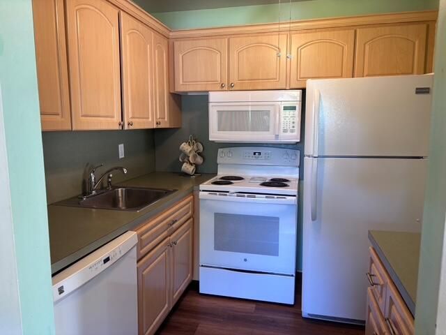 340 W Horizons 205, Boynton Beach, FL 33435