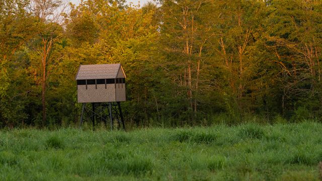 225 Cr-3303, De Kalb, TX 75559