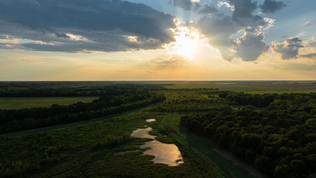 225 Cr-3303, De Kalb, TX 75559