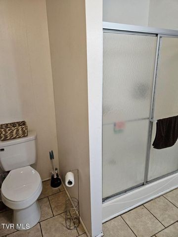 17508 Dreamers Lane, Glade Spring, VA 24340