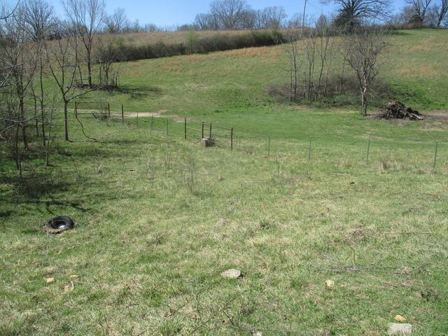 6413 County Road 5-403, Ava, MO 65608