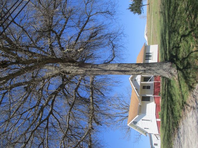 6413 County Road 5-403, Ava, MO 65608