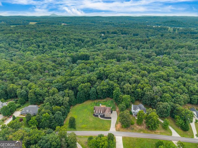 335 Northwoods Drive, Mount Airy, GA 30563