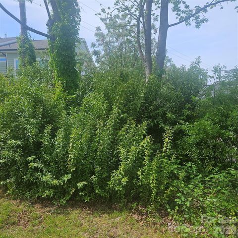 1040 Drummond Avenue, Charlotte, NC 28205