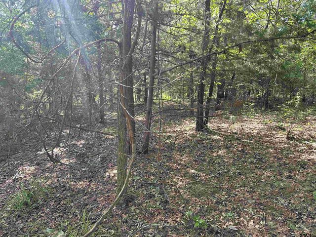 tbd Cumberland Way, Bullard, TX 75757