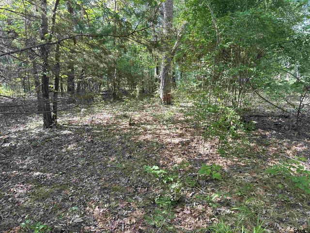 tbd Cumberland Way, Bullard, TX 75757