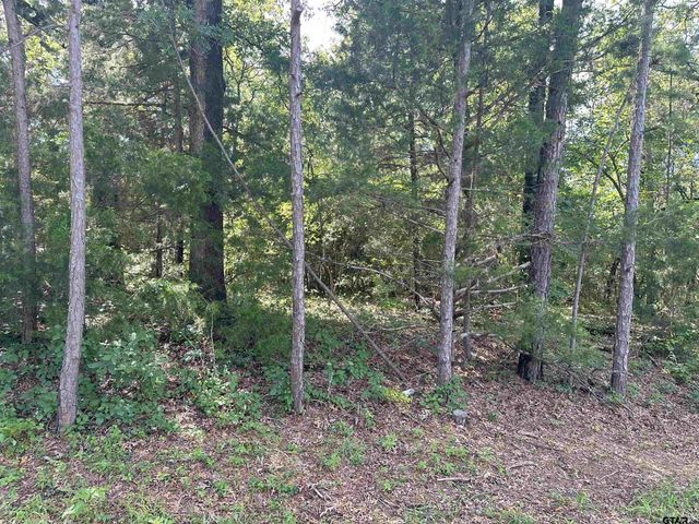 tbd Cumberland Way, Bullard, TX 75757