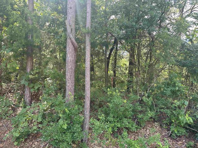 tbd Cumberland Way, Bullard, TX 75757