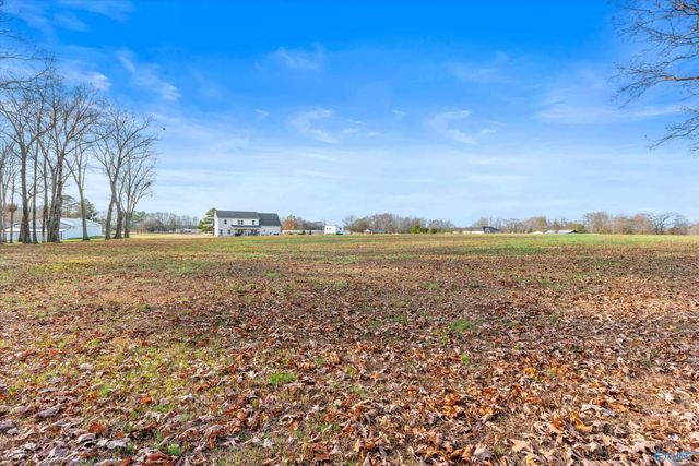 15100 York Lane, Athens, AL 35611