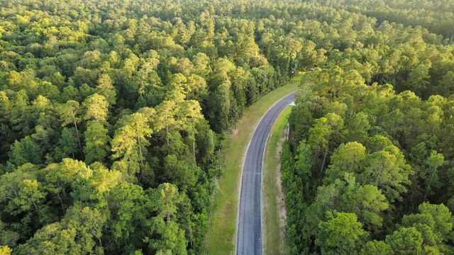 0 Sundog Road, Huntsville, TX 77340
