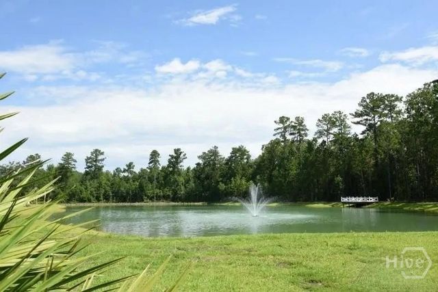 255 James Drive, Richmond Hill, GA 31324