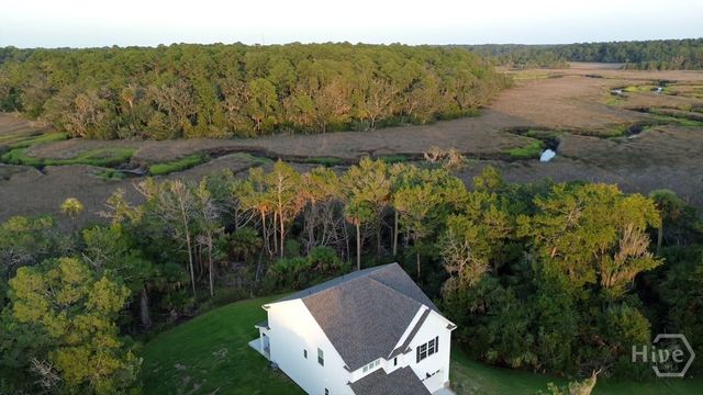 255 James Drive, Richmond Hill, GA 31324