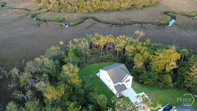255 James Drive, Richmond Hill, GA 31324