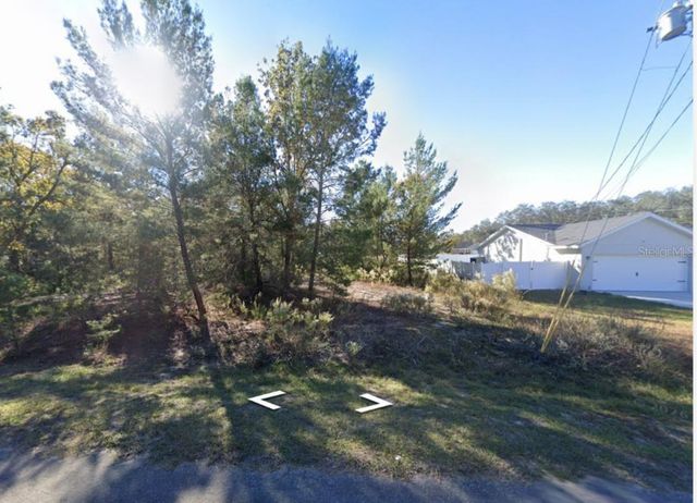 22 FISHER RUN LANE, Ocklawaha, FL 32179