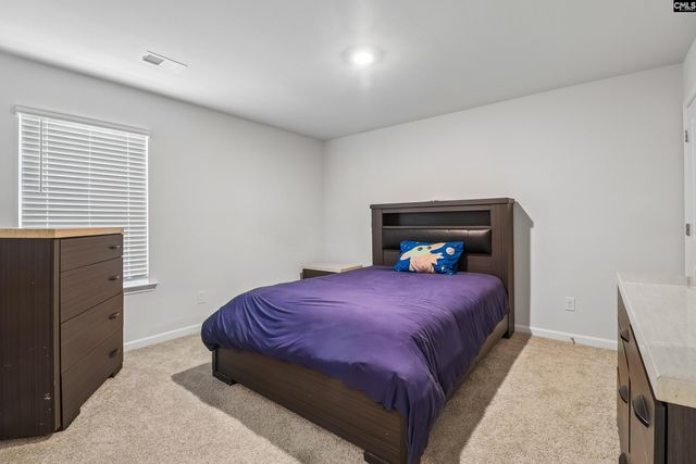1213 Carnation Court, Lexington, SC 29072
