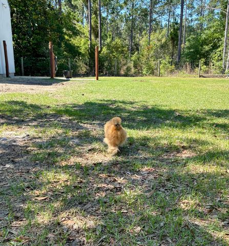 2350 N County Hwy 393, Santa Rosa Beach, FL 32459