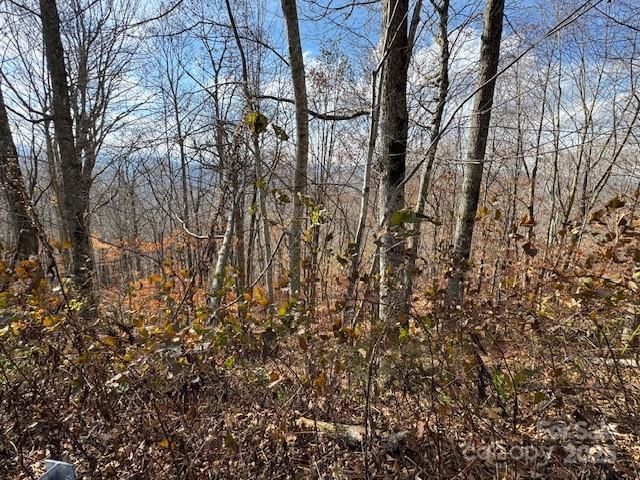 50 Scenic Wolf Ridge Road, Mars Hill, NC 28754