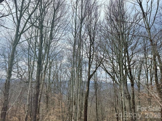 50 Scenic Wolf Ridge Road, Mars Hill, NC 28754