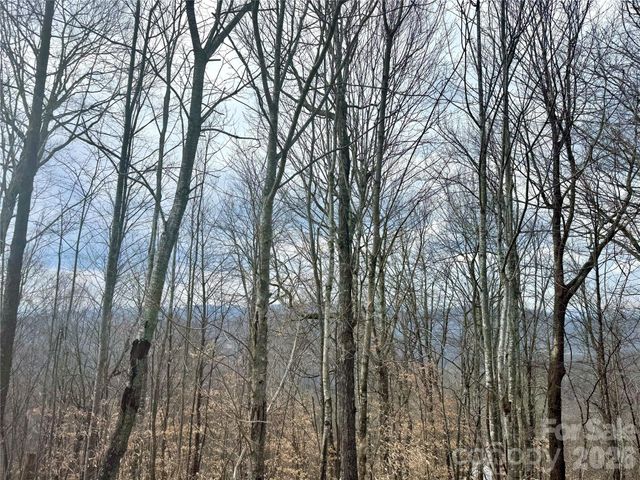 50 Scenic Wolf Ridge Road, Mars Hill, NC 28754