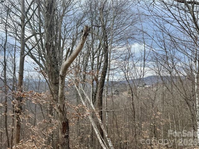 50 Scenic Wolf Ridge Road, Mars Hill, NC 28754