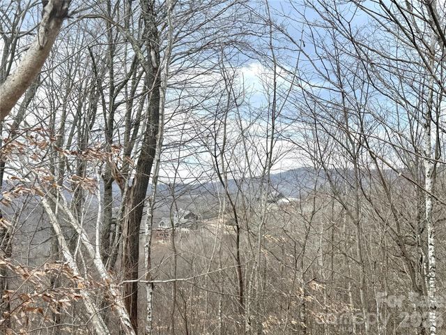 50 Scenic Wolf Ridge Road, Mars Hill, NC 28754