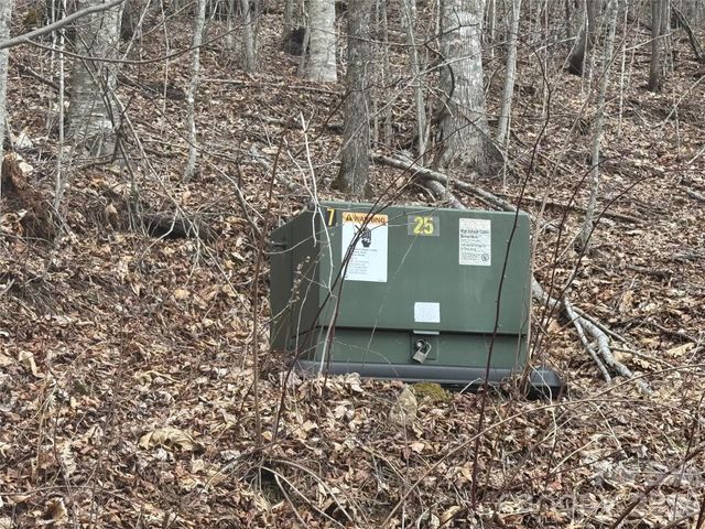 50 Scenic Wolf Ridge Road, Mars Hill, NC 28754