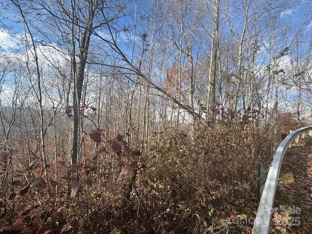 50 Scenic Wolf Ridge Road, Mars Hill, NC 28754