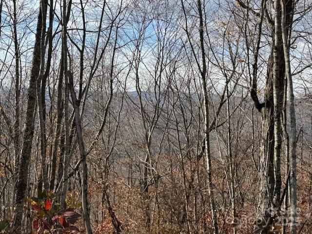 50 Scenic Wolf Ridge Road, Mars Hill, NC 28754