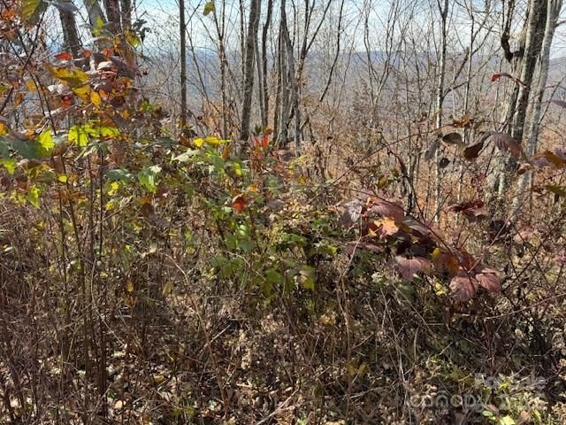 50 Scenic Wolf Ridge Road, Mars Hill, NC 28754