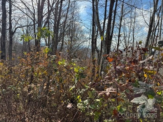 50 Scenic Wolf Ridge Road, Mars Hill, NC 28754