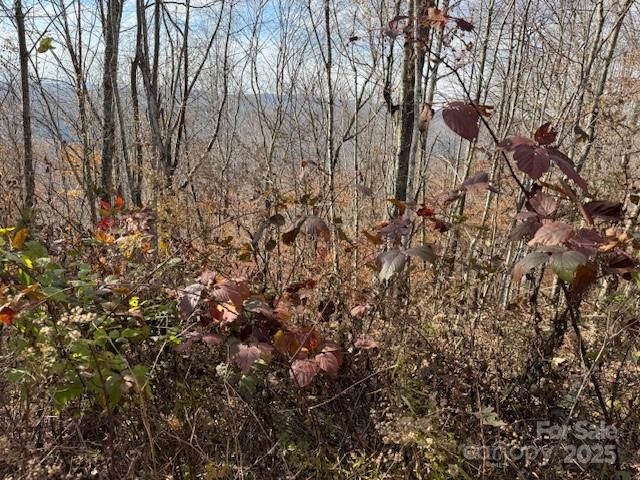 50 Scenic Wolf Ridge Road, Mars Hill, NC 28754