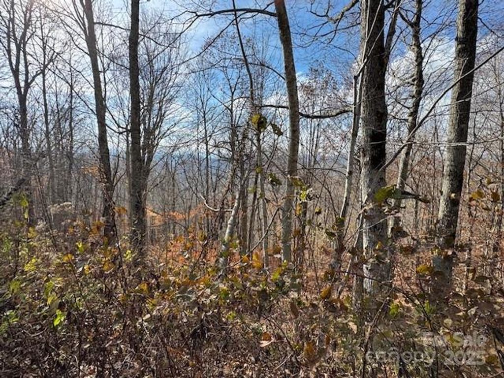 50 Scenic Wolf Ridge Road, Mars Hill, NC 28754