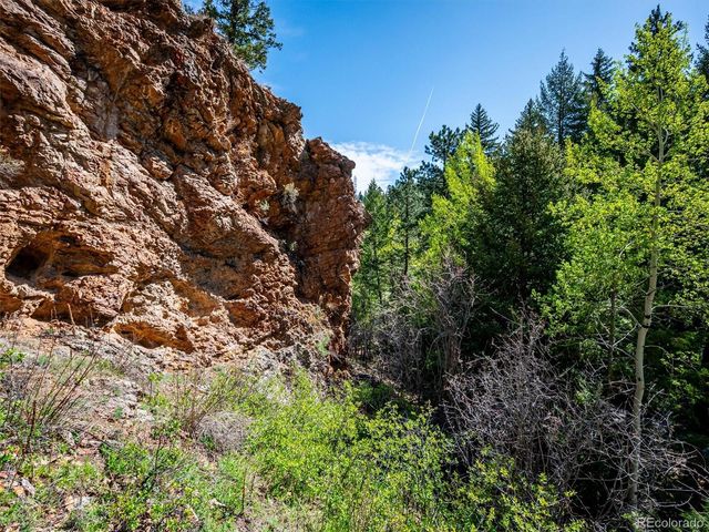 164 Fawn Creek Lane, Evergreen, CO 80439