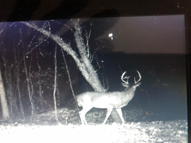 2480 S 148th Avenue, Hesperia, MI 49421