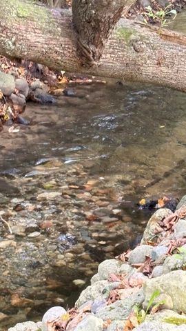 2480 S 148th Avenue, Hesperia, MI 49421