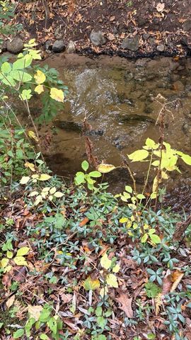 2480 S 148th Avenue, Hesperia, MI 49421