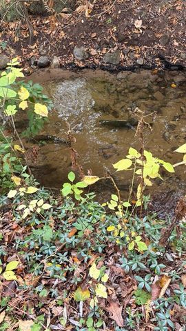 2480 S 148th Avenue, Hesperia, MI 49421